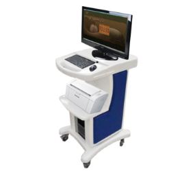 ���t(y��)�w�|(zh��)�W�đ�(y��ng)��